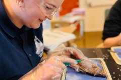 483706799_649241954394669_904800123791338392_n